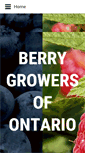 Mobile Screenshot of ontarioberries.com
